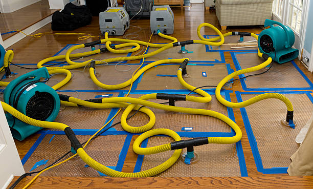 Professional Structural Drying And Dehumidification technician working in Mattoon, WI